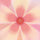 Blurred Flowers