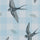 Wind Trace
