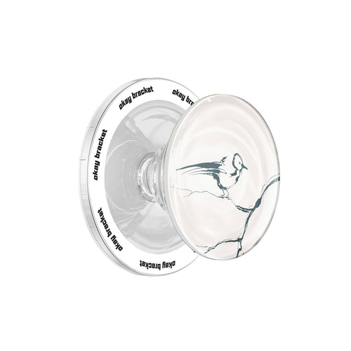 Birdsong - MagSafe AirBag Grip