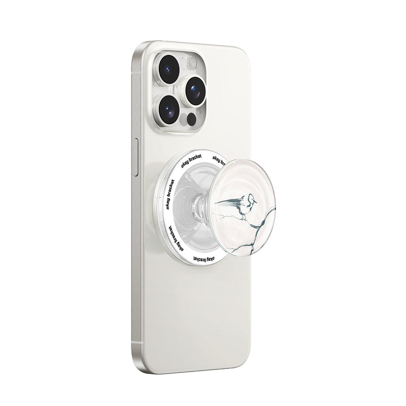 Birdsong - MagSafe AirBag Grip