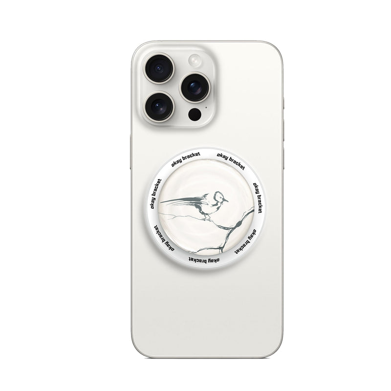 Birdsong - MagSafe AirBag Grip