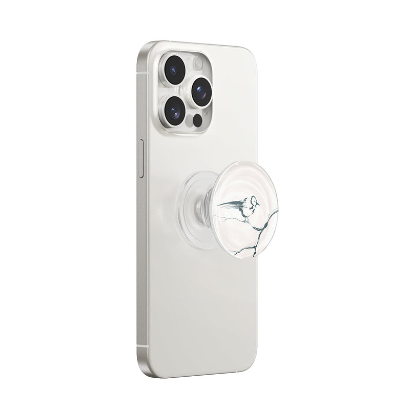 Birdsong - MagSafe AirBag Grip