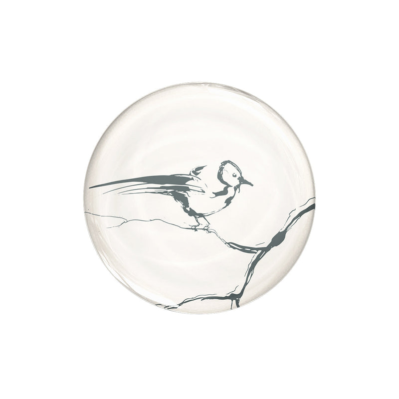 Birdsong - MagSafe AirBag Grip