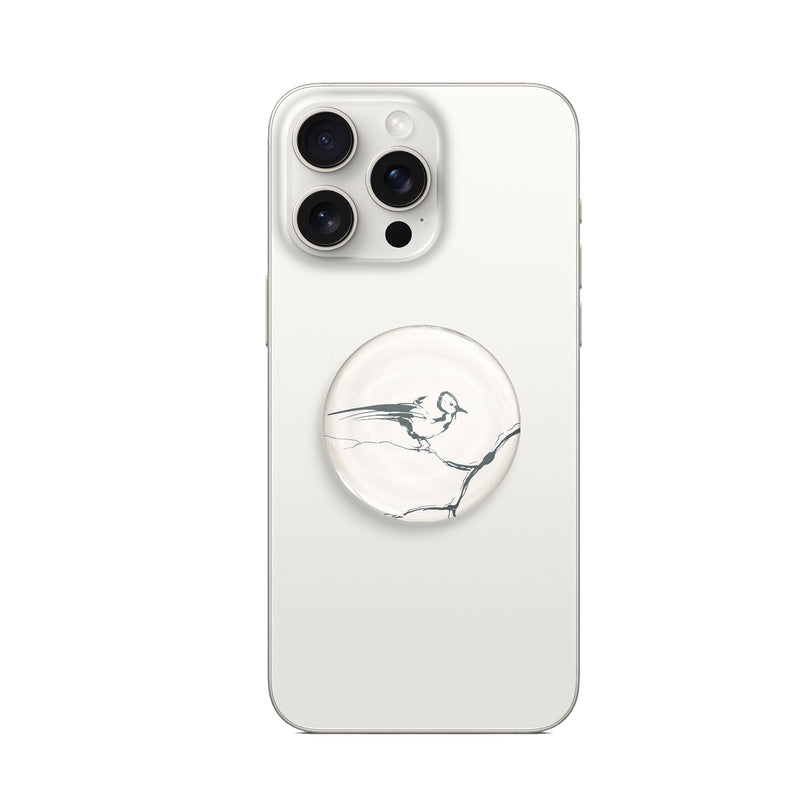 Birdsong - MagSafe AirBag Grip